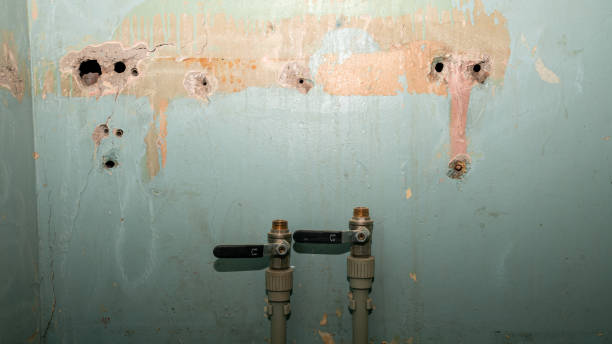 Best Flood damage cleanup  in Millvale, PA