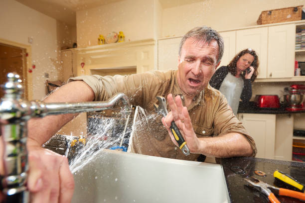 Best Water damage cleanup near me  in Millvale, PA